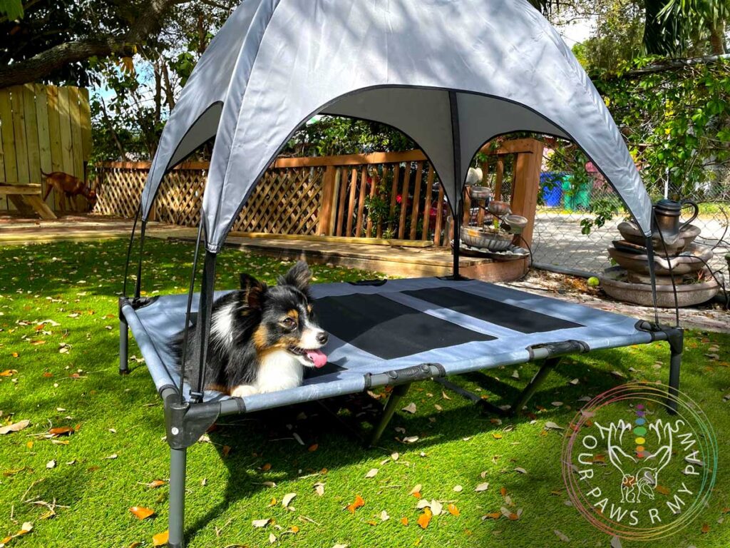 pets-retreat-yourpawsrmypaws